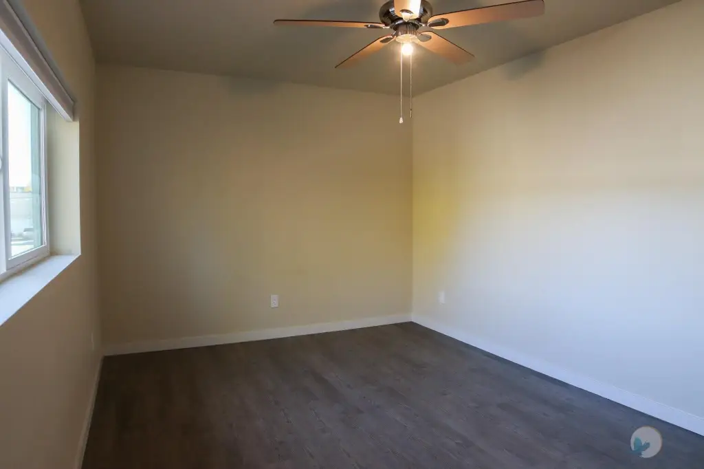 Picture 14