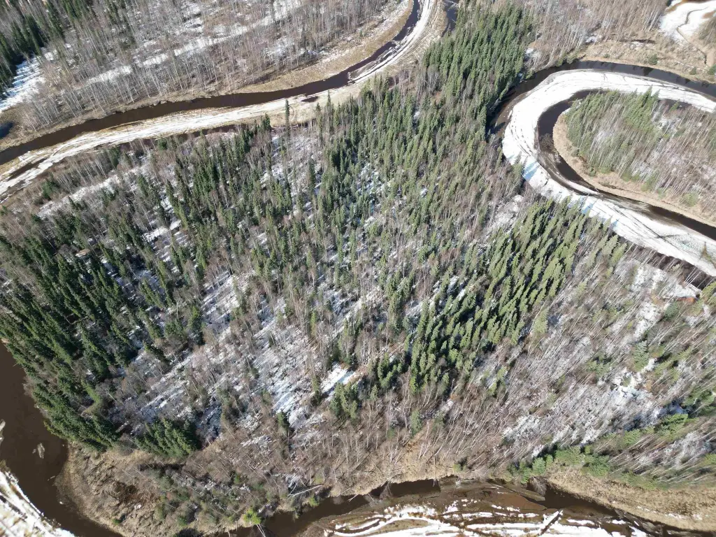 Picture 6