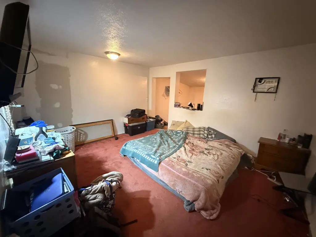 Picture 12