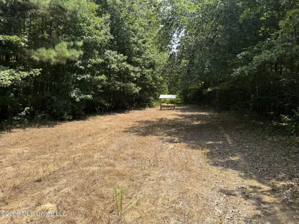 Picture 2