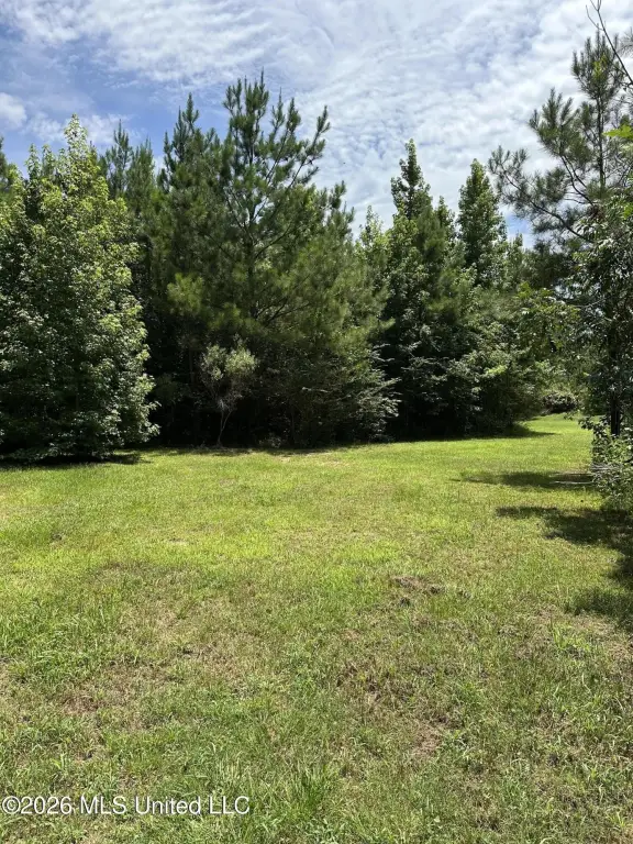 Picture 10