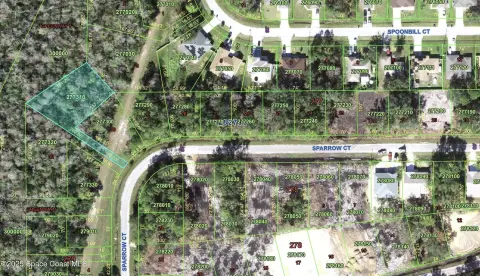Land in Growing Poinciana Community