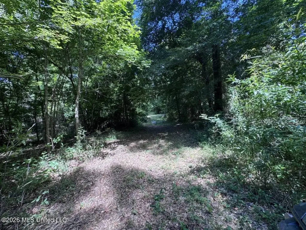 Picture 24