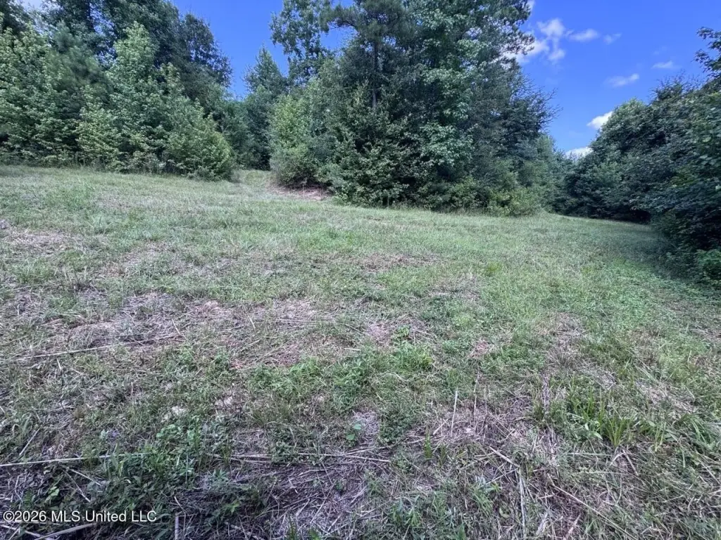 Picture 21