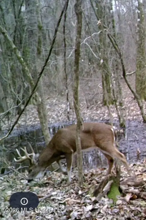 Picture 13
