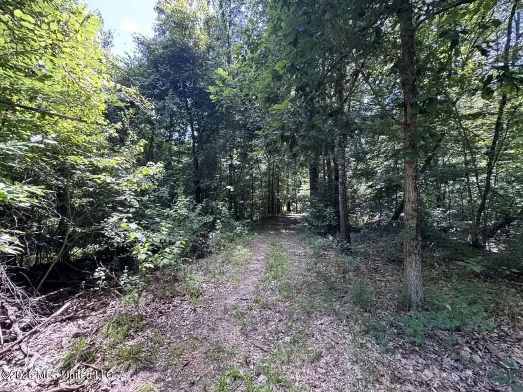 Picture 16