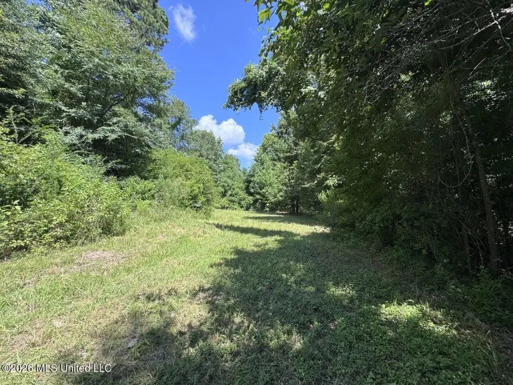 Picture 22