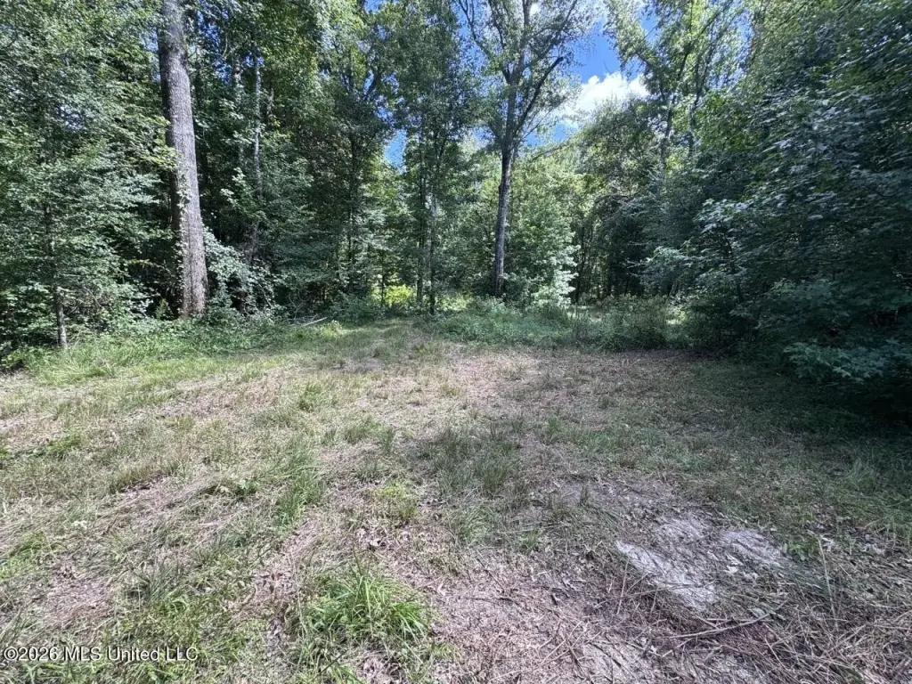 Picture 27