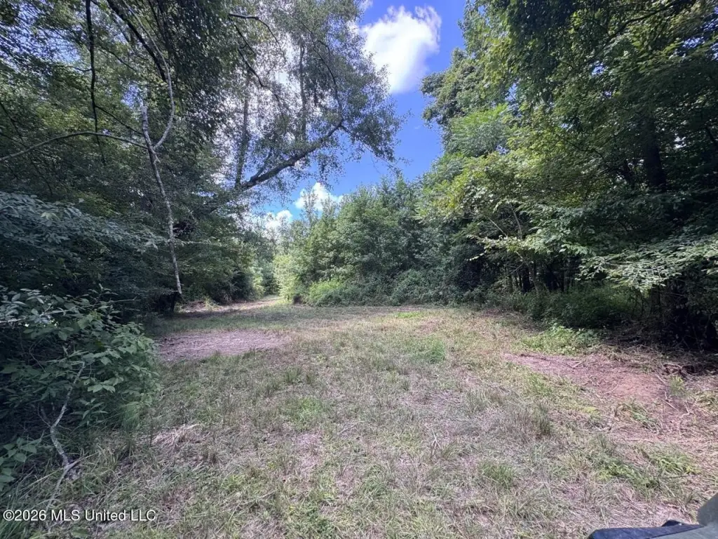 Picture 25