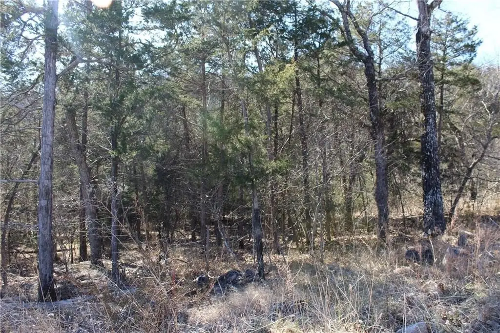 Picture 5