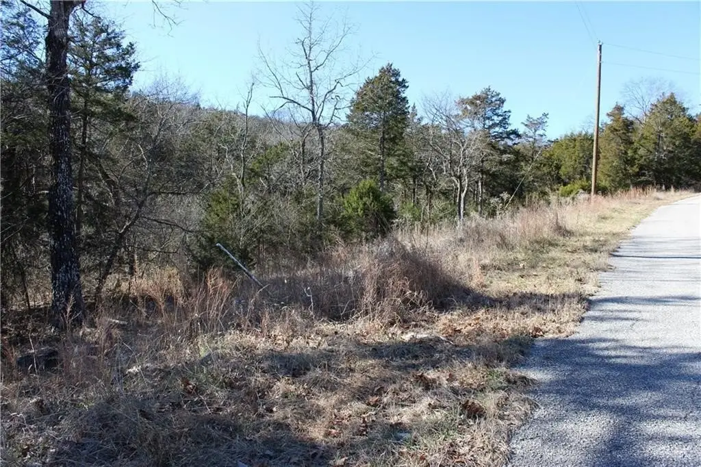 Picture 8