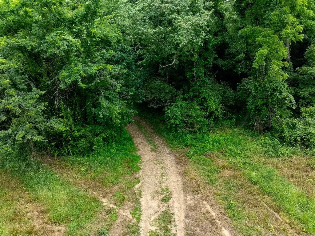 Picture 27