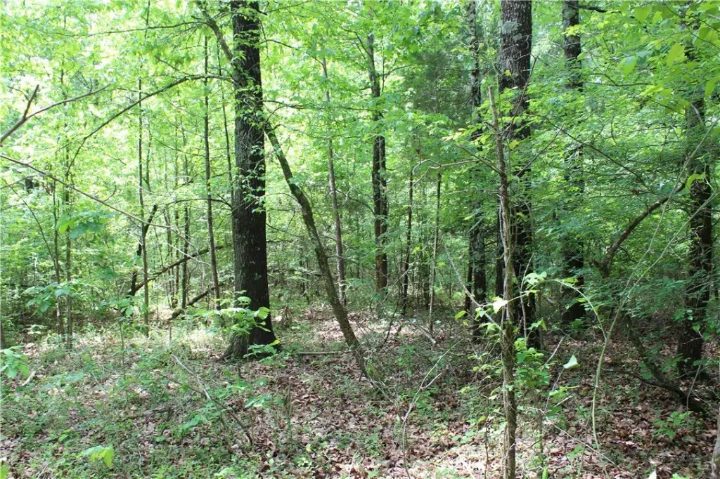 Picture 22