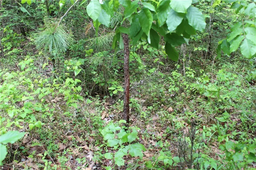 Picture 19