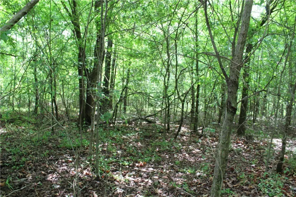 Picture 14