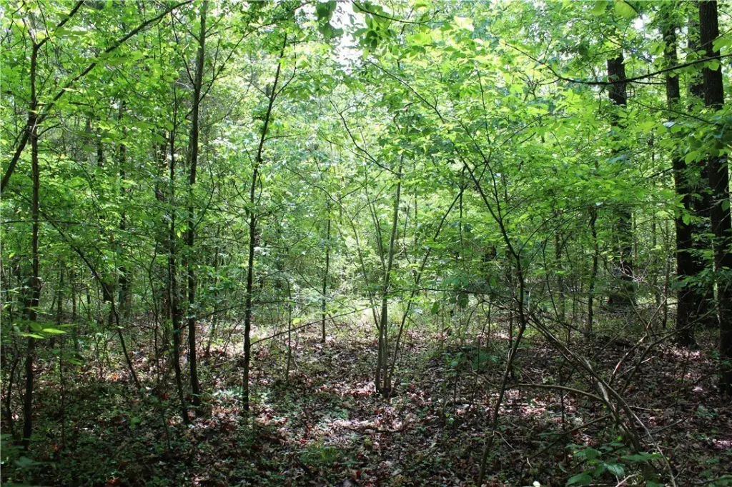 Picture 15