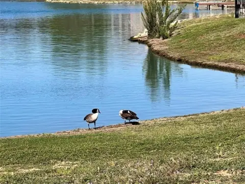 Water Ski Lake Homesite