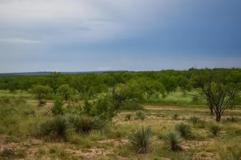 McCulloch County 40-Acre Ranch