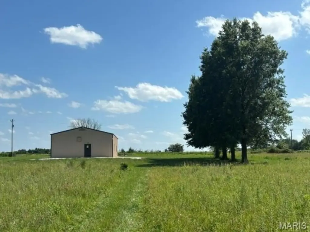 Picture 19