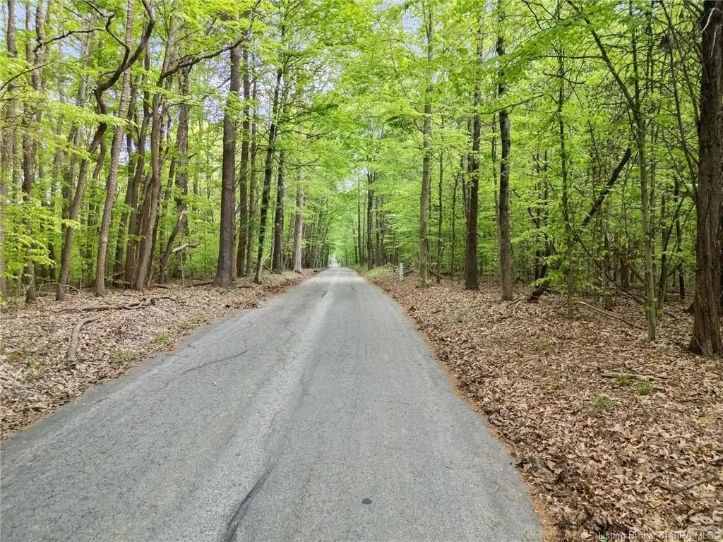 Picture 27
