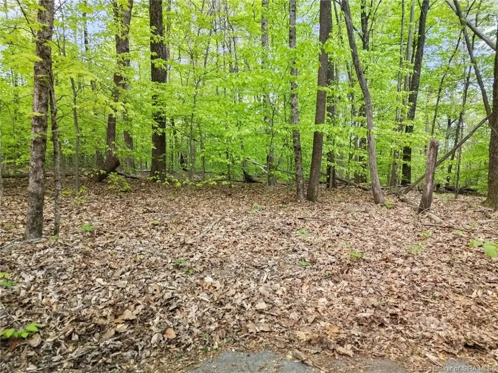 Picture 29