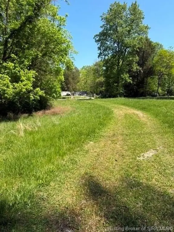 Picture 3