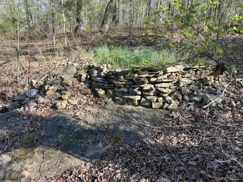 Secluded Timberland for Hunting/Cabin