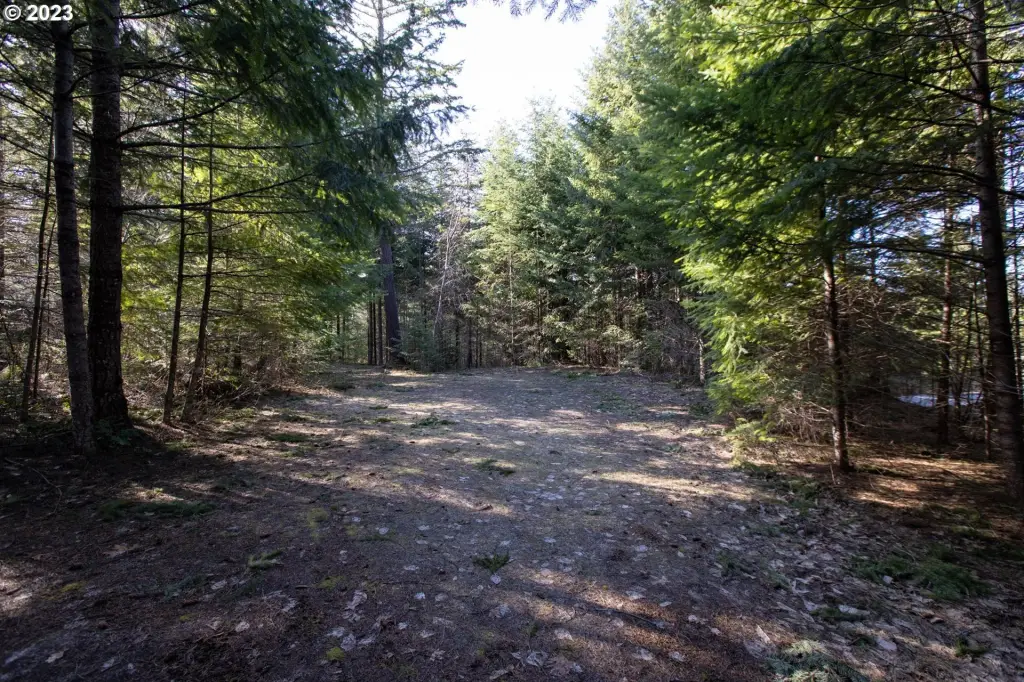Picture 4