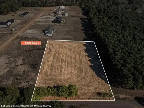 Land in New Diana ISD