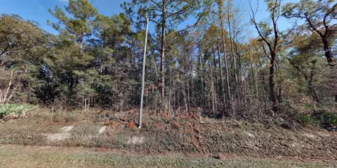 Land in Hastings, Florida