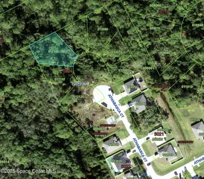 Residential Land in Poinciana, FL