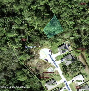 Residential Land in Poinciana, FL