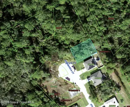 Poinciana, FL Land Opportunity