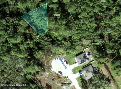 Residential Land in Poinciana, FL