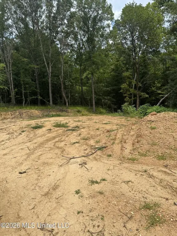 Picture 3
