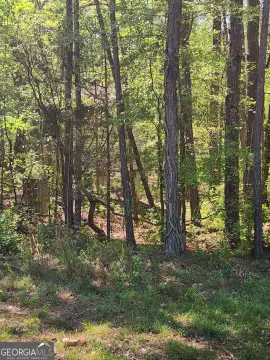Covington, GA - 1 Acre Lot