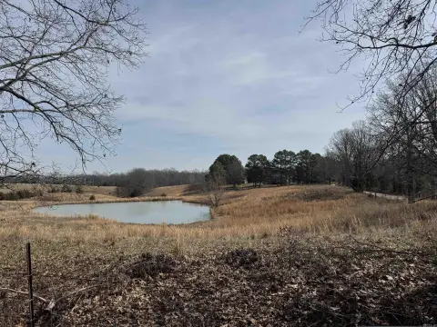 8.5 Acres in Piggott, AR
