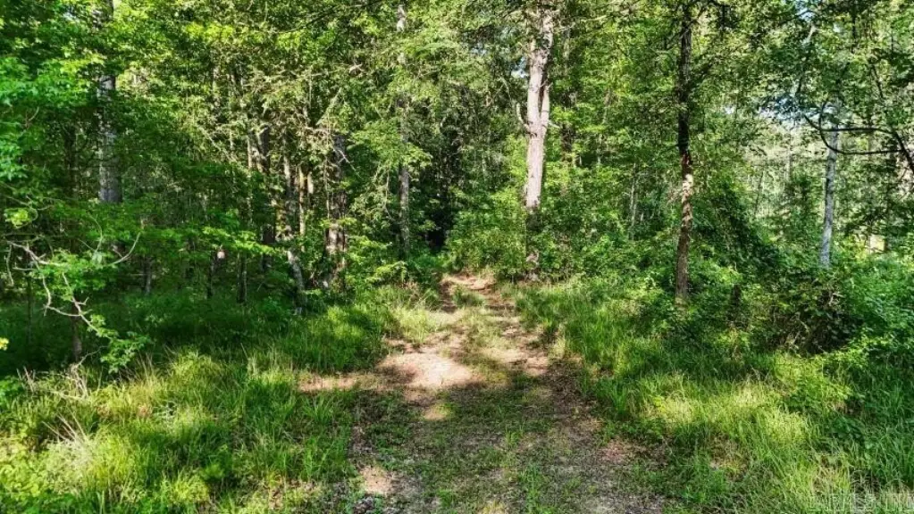 Picture 11