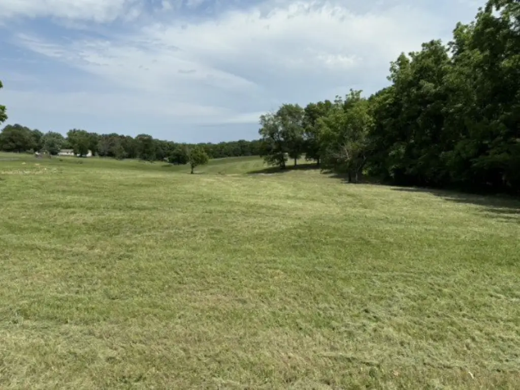 Picture 6