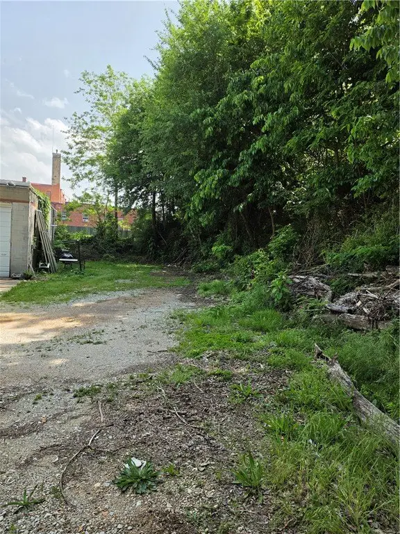 Picture 21