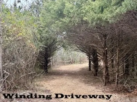 Secluded Wooded Acreage For Sale