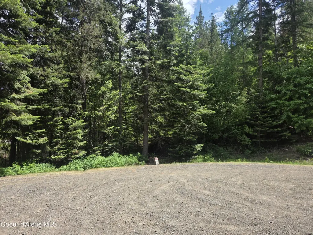 Picture 23