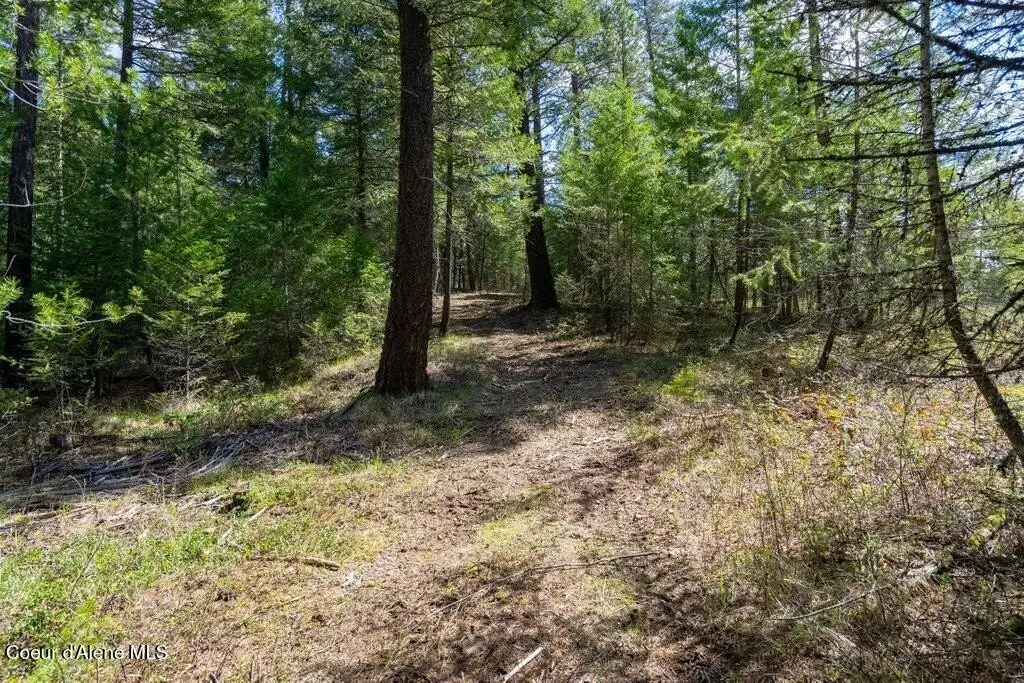 Picture 25
