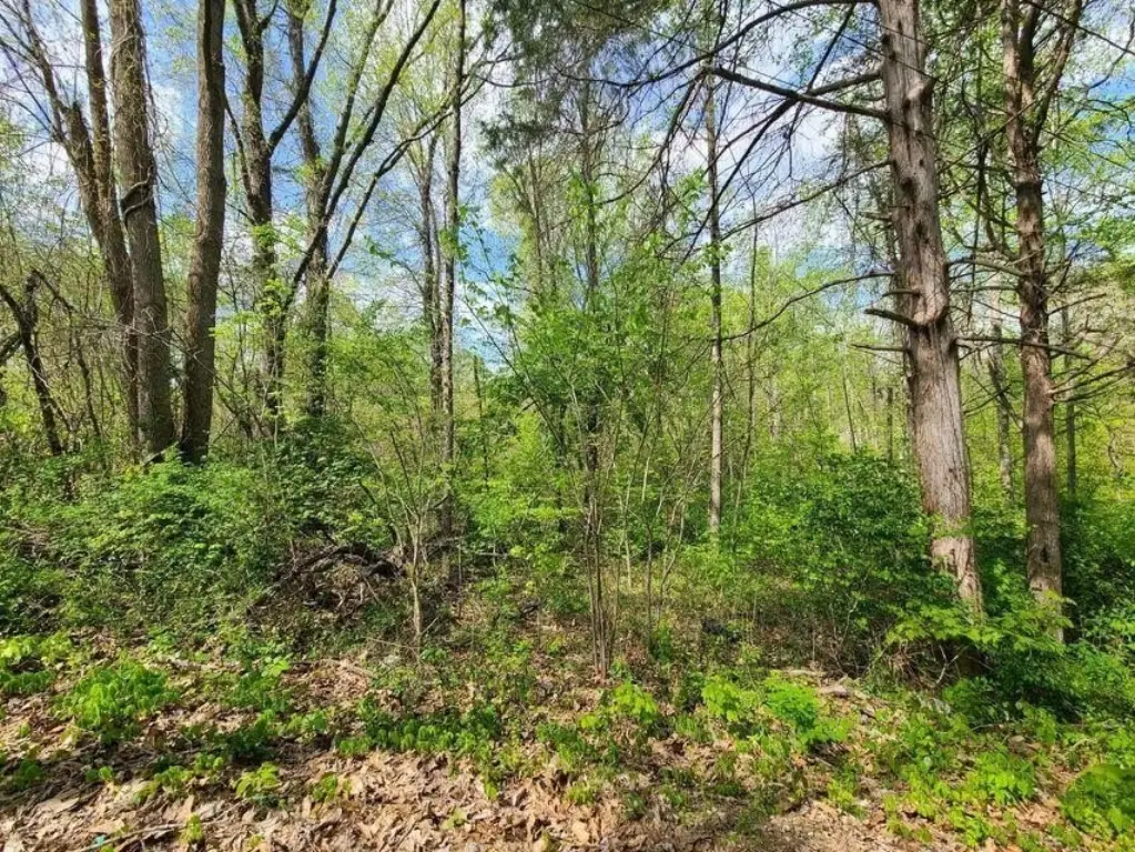 Picture 15
