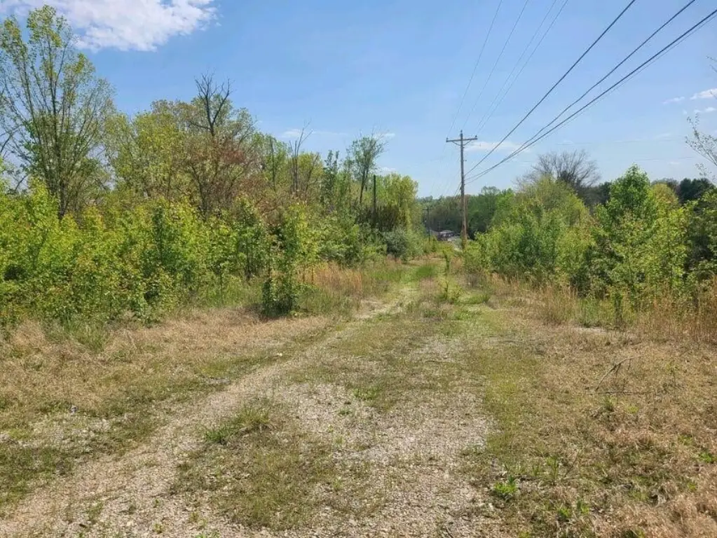 Picture 19