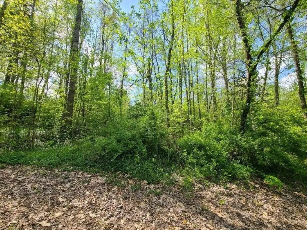 Picture 4