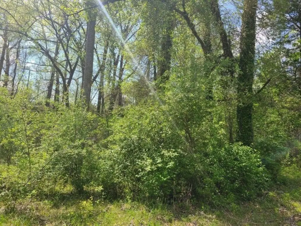 Picture 13