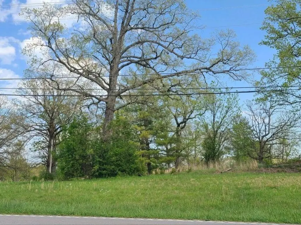 Picture 26