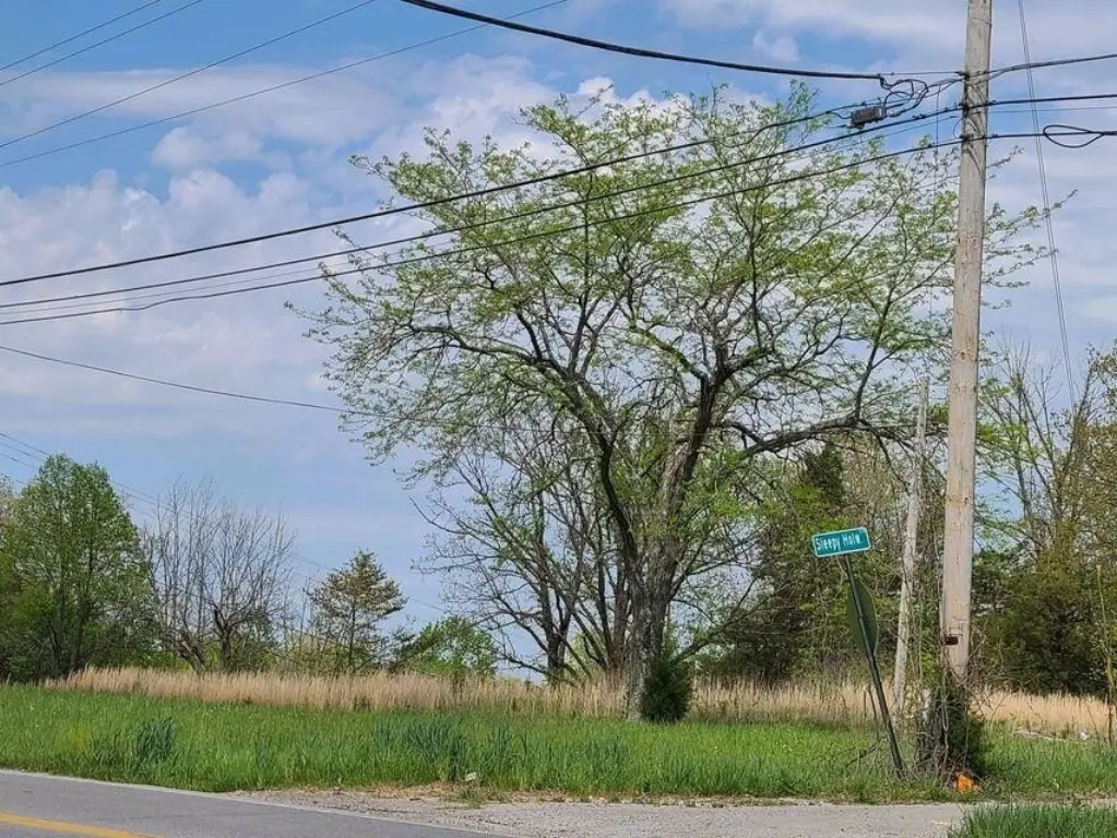 Picture 14