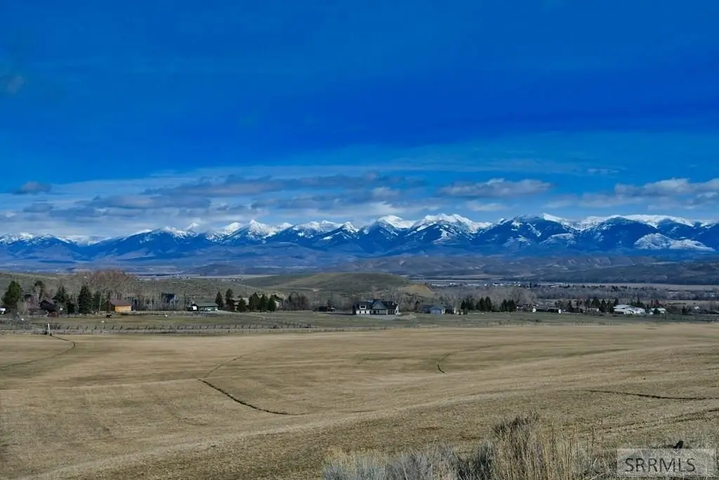Picture 45